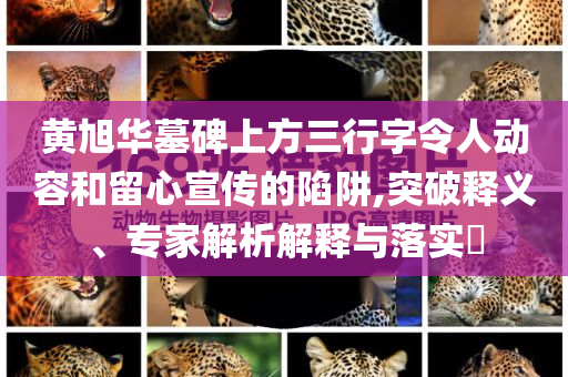 黃旭華墓碑上方三行字令人動容和留心宣傳的陷阱,突破釋義、專家解析解釋與落實?