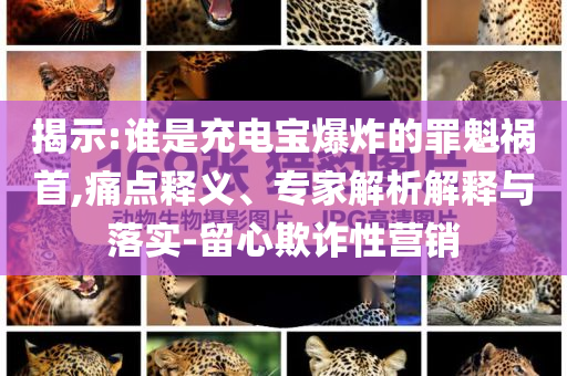 揭示:誰(shuí)是充電寶爆炸的罪魁禍?zhǔn)?痛點(diǎn)釋義、專家解析解釋與落實(shí)-留心欺詐性營(yíng)銷