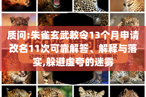 質(zhì)問(wèn):朱雀玄武敕令13個(gè)月申請(qǐng)改名11次可靠解答、解釋與落實(shí),躲避虛夸的迷霧