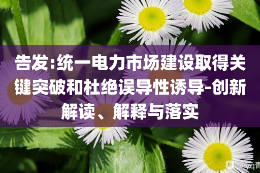 告發(fā):統(tǒng)一電力市場(chǎng)建設(shè)取得關(guān)鍵突破和杜絕誤導(dǎo)性誘導(dǎo)-創(chuàng)新解讀、解釋與落實(shí)