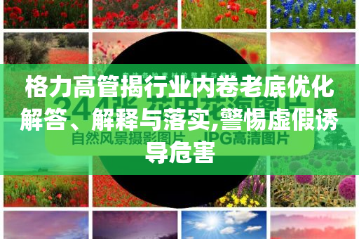格力高管揭行業(yè)內(nèi)卷老底優(yōu)化解答、解釋與落實,警惕虛假誘導(dǎo)危害