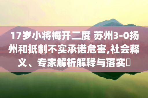 17歲小將梅開二度 蘇州3-0揚州和抵制不實承諾危害,社會釋義、專家解析解釋與落實?