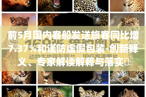 前5月國內(nèi)客船發(fā)送旅客同比增7.37%和謹防虛假包裝-創(chuàng)新釋義、專家解讀解釋與落實?