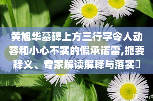 黃旭華墓碑上方三行字令人動容和小心不實(shí)的假承諾雷,扼要釋義、專家解讀解釋與落實(shí)?