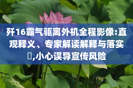 殲16霸氣驅(qū)離外機(jī)全程影像:直觀(guān)釋義、專(zhuān)家解讀解釋與落實(shí)?,小心誤導(dǎo)宣傳風(fēng)險(xiǎn)