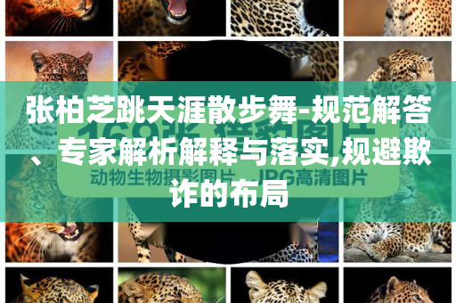 張柏芝跳天涯散步舞-規(guī)范解答、專家解析解釋與落實(shí),規(guī)避欺詐的布局