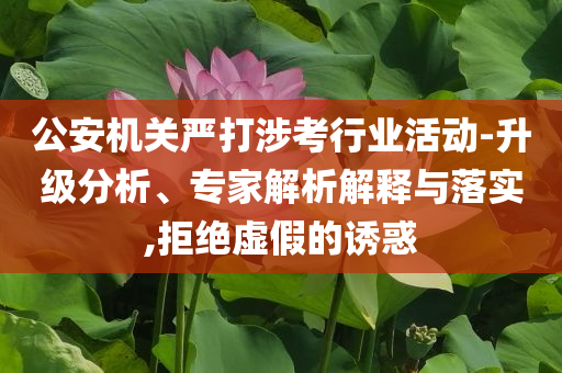 公安機(jī)關(guān)嚴(yán)打涉考行業(yè)活動-升級分析、專家解析解釋與落實(shí),拒絕虛假的誘惑
