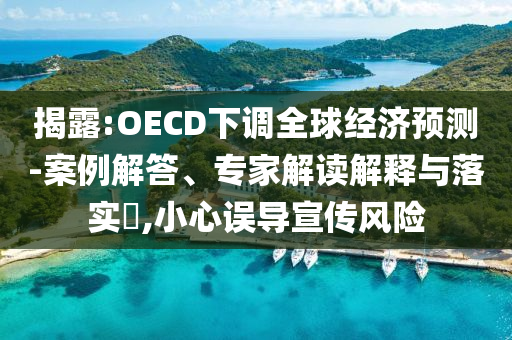 揭露:OECD下調(diào)全球經(jīng)濟(jì)預(yù)測(cè)-案例解答、專家解讀解釋與落實(shí)?,小心誤導(dǎo)宣傳風(fēng)險(xiǎn)