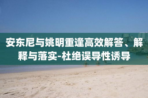 安東尼與姚明重逢高效解答、解釋與落實-杜絕誤導(dǎo)性誘導(dǎo)