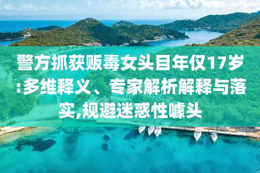 警方抓獲販毒女頭目年僅17歲:多維釋義、專家解析解釋與落實(shí),規(guī)避迷惑性噱頭