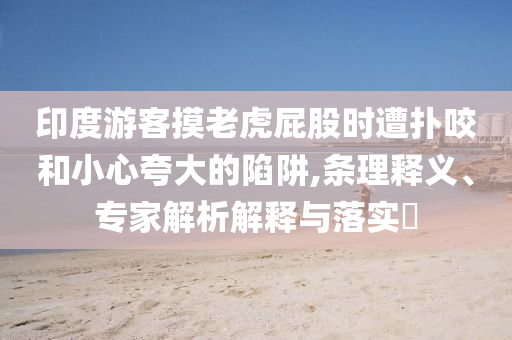 印度游客摸老虎屁股時(shí)遭撲咬和小心夸大的陷阱,條理釋義、專(zhuān)家解析解釋與落實(shí)?