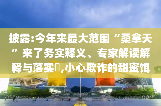 披露:今年來最大范圍“桑拿天”來了務(wù)實(shí)釋義、專家解讀解釋與落實(shí)?,小心欺詐的甜蜜餌