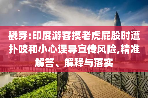戳穿:印度游客摸老虎屁股時遭撲咬和小心誤導宣傳風險,精準解答、解釋與落實