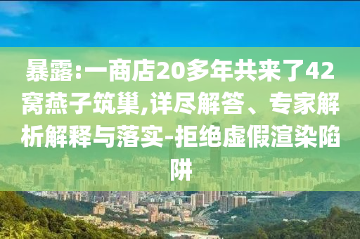暴露:一商店20多年共來了42窩燕子筑巢,詳盡解答、專家解析解釋與落實-拒絕虛假渲染陷阱