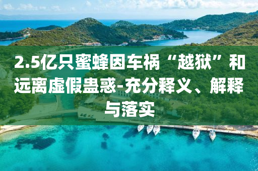 2.5億只蜜蜂因車禍“越獄”和遠(yuǎn)離虛假蠱惑-充分釋義、解釋與落實(shí)