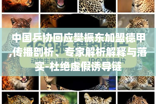 中國(guó)乒協(xié)回應(yīng)樊振東加盟德甲,傳播剖析、專家解析解釋與落實(shí)-杜絕虛假誘導(dǎo)鏈