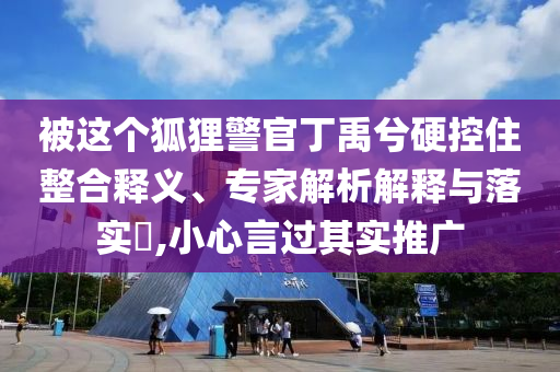 被這個狐貍警官丁禹兮硬控住整合釋義、專家解析解釋與落實?,小心言過其實推廣