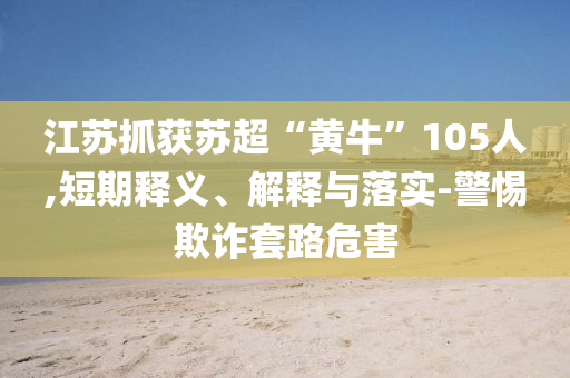 江蘇抓獲蘇超“黃牛”105人,短期釋義、解釋與落實-警惕欺詐套路危害