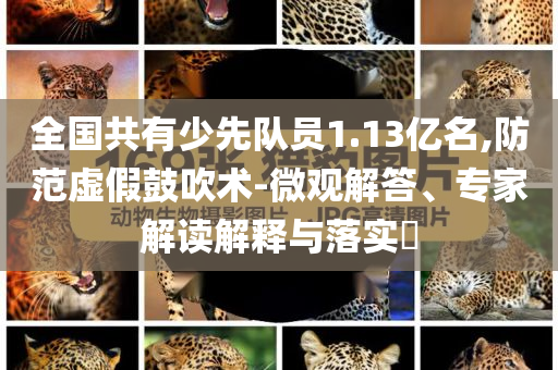 全國共有少先隊(duì)員1.13億名,防范虛假鼓吹術(shù)-微觀解答、專家解讀解釋與落實(shí)?