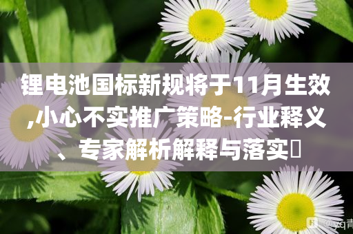 鋰電池國標新規(guī)將于11月生效,小心不實推廣策略-行業(yè)釋義、專家解析解釋與落實?