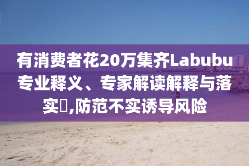 有消費(fèi)者花20萬集齊Labubu專業(yè)釋義、專家解讀解釋與落實(shí)?,防范不實(shí)誘導(dǎo)風(fēng)險(xiǎn)