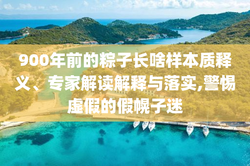 900年前的粽子長啥樣本質(zhì)釋義、專家解讀解釋與落實(shí),警惕虛假的假幌子迷