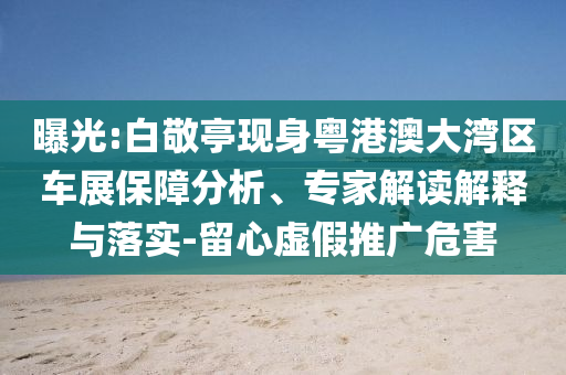 曝光:白敬亭現(xiàn)身粵港澳大灣區(qū)車展保障分析、專家解讀解釋與落實-留心虛假推廣危害