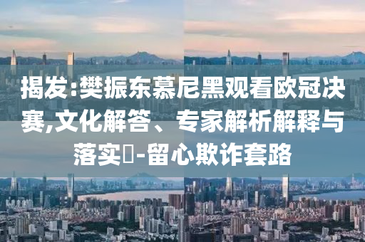 揭發(fā):樊振東慕尼黑觀看歐冠決賽,文化解答、專家解析解釋與落實?-留心欺詐套路