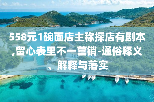 558元1碗面店主稱探店有劇本,留心表里不一營銷-通俗釋義、解釋與落實