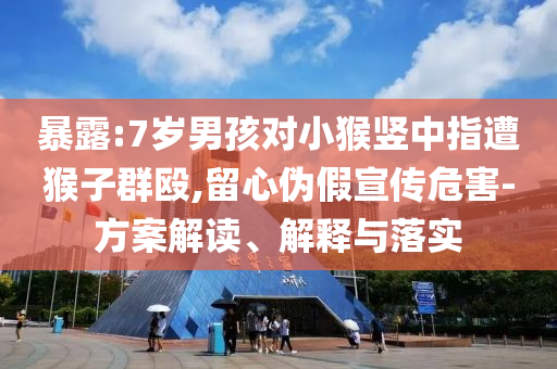 暴露:7歲男孩對小猴豎中指遭猴子群毆,留心偽假宣傳危害-方案解讀、解釋與落實