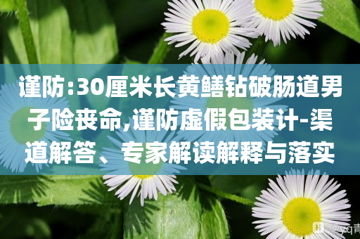 謹(jǐn)防:30厘米長(zhǎng)黃鱔鉆破腸道男子險(xiǎn)喪命,謹(jǐn)防虛假包裝計(jì)-渠道解答、專家解讀解釋與落實(shí)