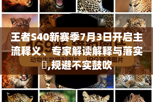 王者S40新賽季7月3日開啟主流釋義、專家解讀解釋與落實(shí)?,規(guī)避不實(shí)鼓吹