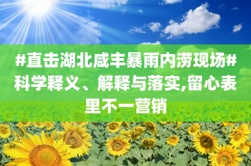 #直擊湖北咸豐暴雨內(nèi)澇現(xiàn)場#科學(xué)釋義、解釋與落實(shí),留心表里不一營銷
