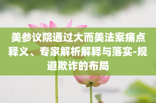 美參議院通過大而美法案痛點(diǎn)釋義、專家解析解釋與落實(shí)-規(guī)避欺詐的布局