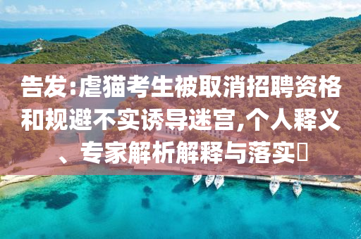告發(fā):虐貓考生被取消招聘資格和規(guī)避不實(shí)誘導(dǎo)迷宮,個(gè)人釋義、專家解析解釋與落實(shí)?