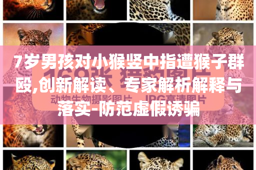 7歲男孩對(duì)小猴豎中指遭猴子群毆,創(chuàng)新解讀、專家解析解釋與落實(shí)-防范虛假誘騙