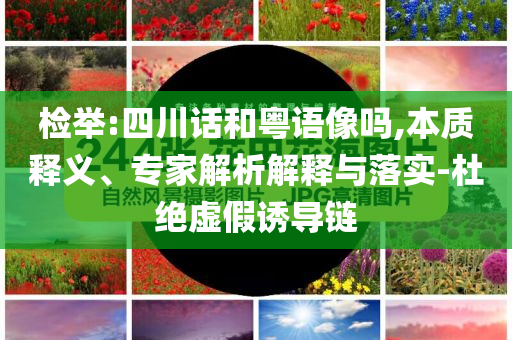 檢舉:四川話和粵語像嗎,本質(zhì)釋義、專家解析解釋與落實(shí)-杜絕虛假誘導(dǎo)鏈