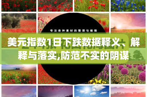 美元指數(shù)1日下跌數(shù)據(jù)釋義、解釋與落實(shí),防范不實(shí)的陰謀