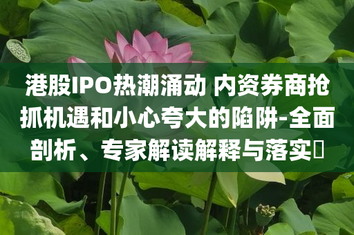 港股IPO熱潮涌動(dòng) 內(nèi)資券商搶抓機(jī)遇和小心夸大的陷阱-全面剖析、專家解讀解釋與落實(shí)?