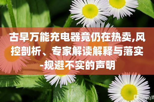 古早萬(wàn)能充電器竟仍在熱賣,風(fēng)控剖析、專家解讀解釋與落實(shí)-規(guī)避不實(shí)的聲明