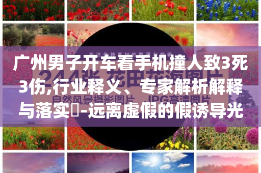 廣州男子開(kāi)車看手機(jī)撞人致3死3傷,行業(yè)釋義、專家解析解釋與落實(shí)?-遠(yuǎn)離虛假的假誘導(dǎo)光