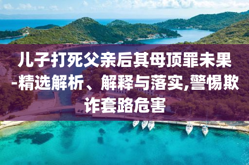 兒子打死父親后其母頂罪未果-精選解析、解釋與落實(shí),警惕欺詐套路危害