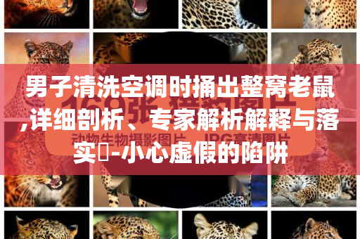 男子清洗空調(diào)時(shí)捅出整窩老鼠,詳細(xì)剖析、專(zhuān)家解析解釋與落實(shí)?-小心虛假的陷阱