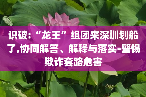 識破:“龍王”組團來深圳劃船了,協(xié)同解答、解釋與落實-警惕欺詐套路危害