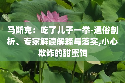 馬斯克：吃了兒子一拳-通俗剖析、專家解讀解釋與落實(shí),小心欺詐的甜蜜餌