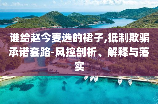 誰給趙今麥選的裙子,抵制欺騙承諾套路-風(fēng)控剖析、解釋與落實(shí)