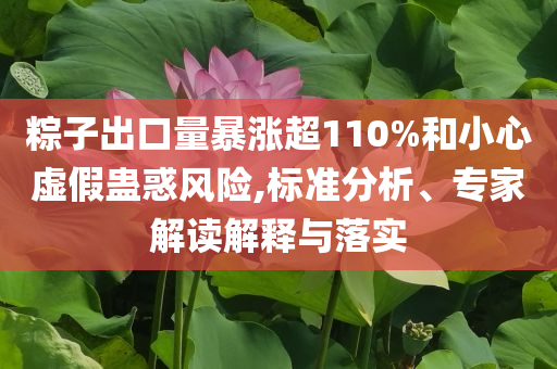粽子出口量暴漲超110%和小心虛假蠱惑風(fēng)險(xiǎn),標(biāo)準(zhǔn)分析、專家解讀解釋與落實(shí)