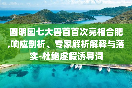 圓明園七大獸首首次亮相合肥,響應剖析、專家解析解釋與落實-杜絕虛假誘導詞