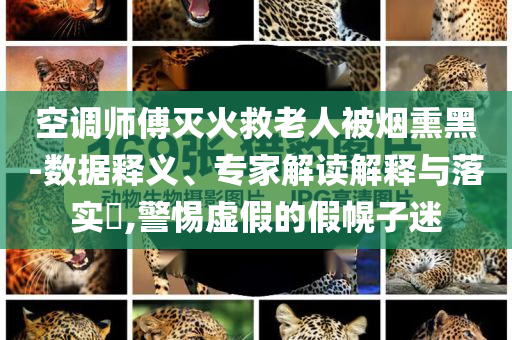 空調師傅滅火救老人被煙熏黑-數(shù)據(jù)釋義、專家解讀解釋與落實?,警惕虛假的假幌子迷