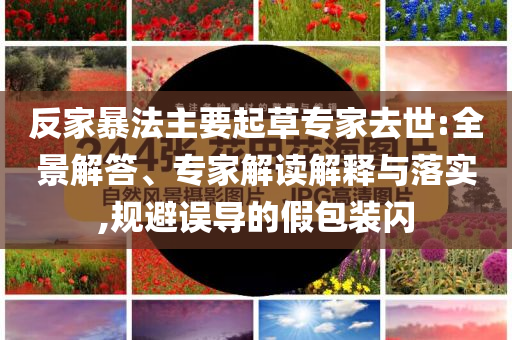 反家暴法主要起草專家去世:全景解答、專家解讀解釋與落實,規(guī)避誤導(dǎo)的假包裝閃